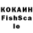 Псилоцибиновые грибы Cubensis kinosharmanka