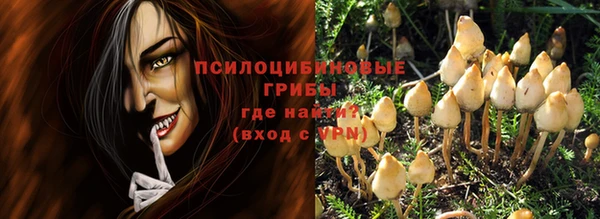 шишки Лиски