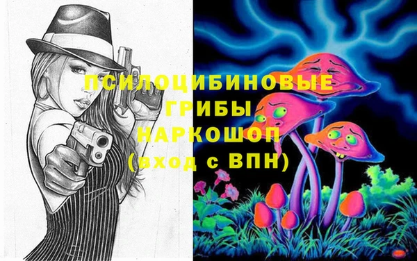 шишки Лиски