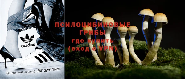 ешки Липки
